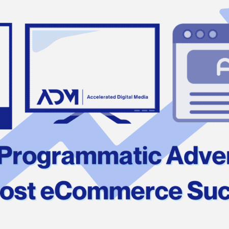 Programmatic ADvertising for eCommerce Brands